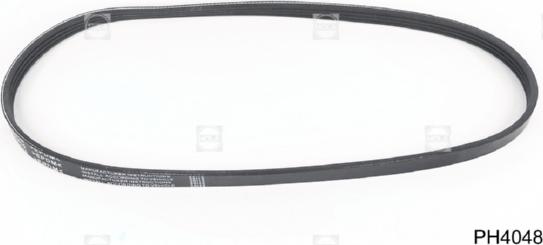 Hola PH4048 - Curea transmisie cu caneluri allinparts.ro