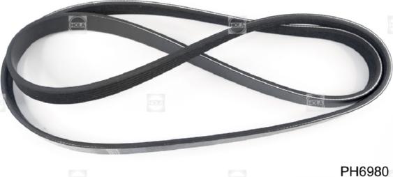 Hola PH6980 - Curea transmisie cu caneluri allinparts.ro