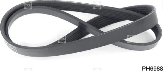 Hola PH6988 - Curea transmisie cu caneluri allinparts.ro