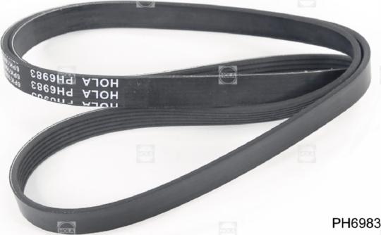 Hola PH6983 - Curea transmisie cu caneluri allinparts.ro