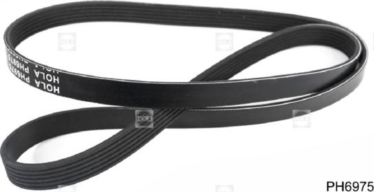 Hola PH6975 - Curea transmisie cu caneluri - allinparts.ro