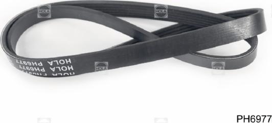 Hola PH6977 - Curea transmisie cu caneluri allinparts.ro