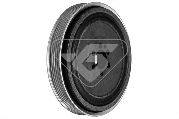 Hutchinson DP026 - Fulie curea, arbore cotit - allinparts.ro
