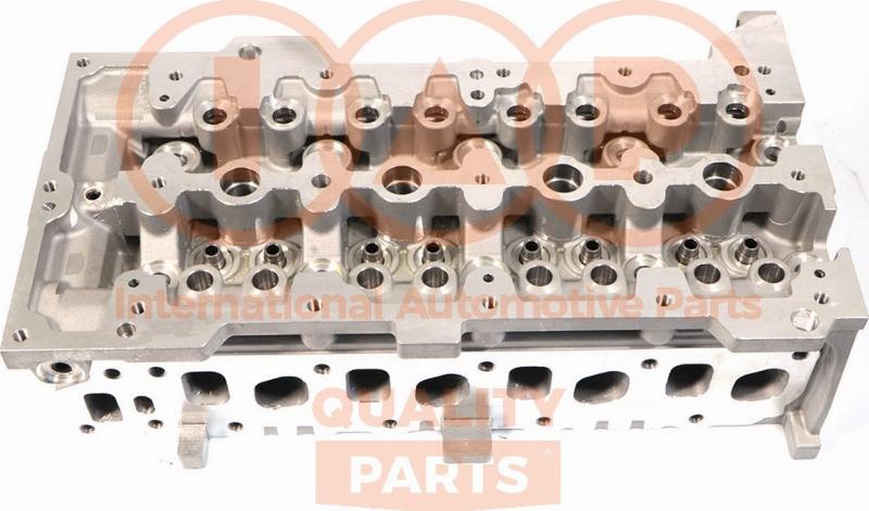 IAP QUALITY PARTS 120-16065 - Chiulasa - allinparts.ro