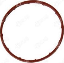 Ibras 14781 - Garnitura, pompa vacuum allinparts.ro