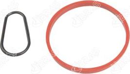 Ibras 20068 - Garnitura, pompa vacuum allinparts.ro