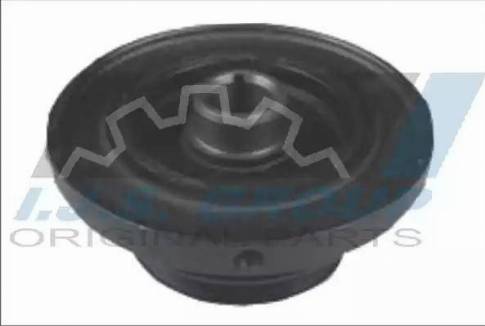 IJS GROUP 17-1120 - Fulie curea, arbore cotit - allinparts.ro