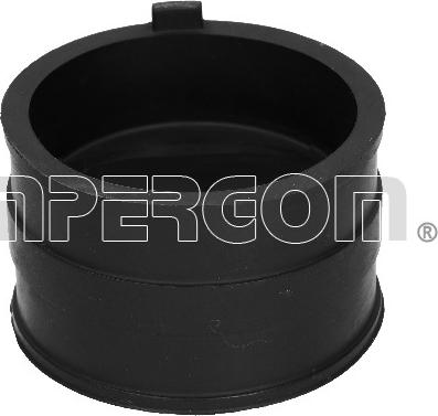 IMPERGOM 18407 - Furtun aer supraalimentare allinparts.ro