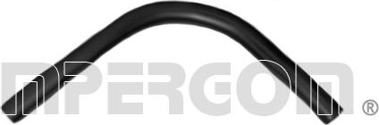 IMPERGOM 17604 - Furtun ulei - allinparts.ro