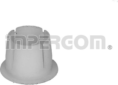 IMPERGOM 30291 - Bucsa, levier schimbator viteza allinparts.ro