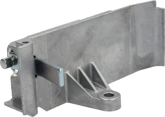 INA 533 0035 10 - Amortizor vibratii, curea distributie allinparts.ro