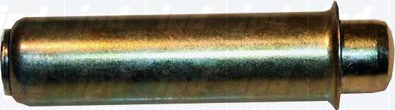 IPD 15-3697 - Amortizor vibratii, curea distributie - allinparts.ro