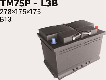 IPSA TM75P - Baterie de pornire allinparts.ro