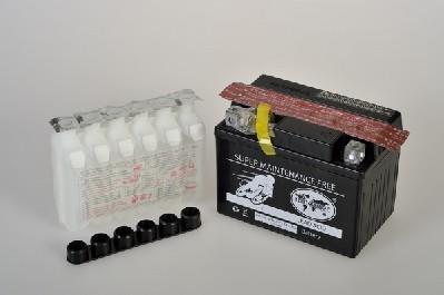 IPSA TMBA50411 - Baterie de pornire - allinparts.ro
