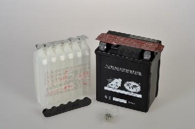 IPSA TMBA50614 - Baterie de pornire allinparts.ro