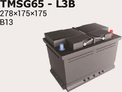 IPSA TMSG65 - Baterie de pornire allinparts.ro