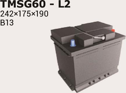 IPSA TMSG60 - Baterie de pornire allinparts.ro