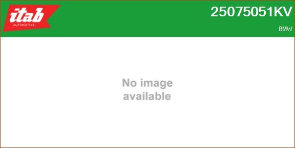 ITAB AUTOMOTIVE 25075051KV - Ansamblu miez turbo - allinparts.ro