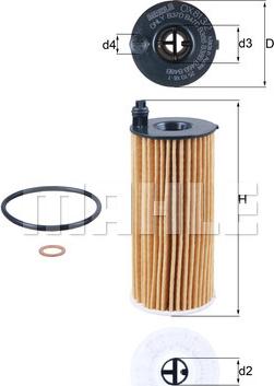 KNECHT OX 813/2D - Filtru ulei - allinparts.ro