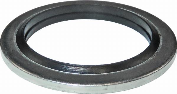 LEMA 404400 - Inel de etansare allinparts.ro