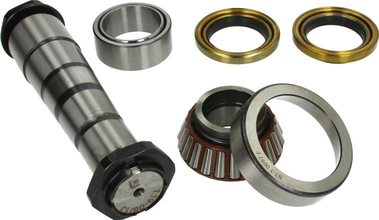 LEMA 719 - Pivot allinparts.ro