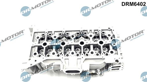 Lizarte DRM6402 - Chiulasa - allinparts.ro