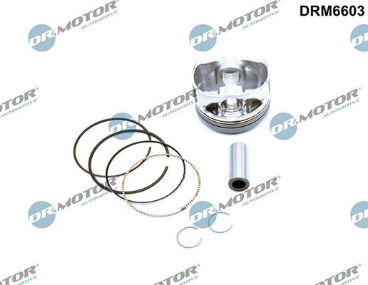 Lizarte DRM6603 - Piston - allinparts.ro