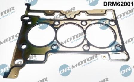 Lizarte DRM62001 - Garnitura, chiulasa allinparts.ro
