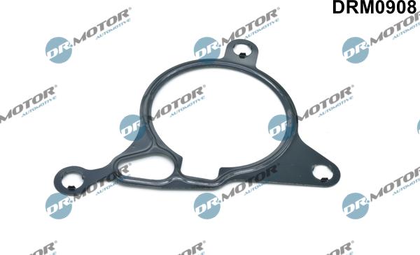 Lizarte DRM0908 - Garnitura, pompa vacuum allinparts.ro