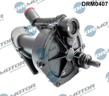 Lizarte DRM0407 - Set reparatie, pompa vacuum (Siste frana) allinparts.ro
