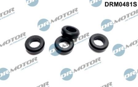 Lizarte DRM0481S - Etansare, suport injector - allinparts.ro