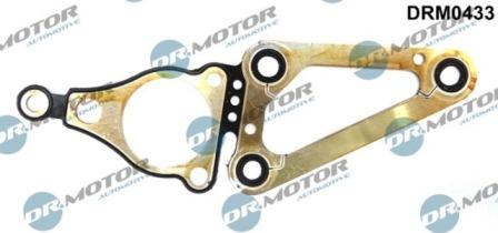 Lizarte DRM0433 - Garnitura, distributie - allinparts.ro