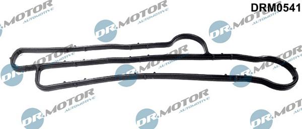Lizarte DRM0541 - Etansare, racire ulei - allinparts.ro