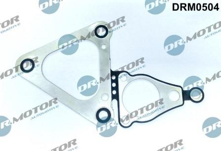 Lizarte DRM0504 - Garnitura, distributie - allinparts.ro