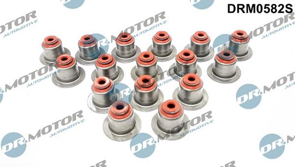 Lizarte DRM0582S - Set garnituri, ax supape - allinparts.ro