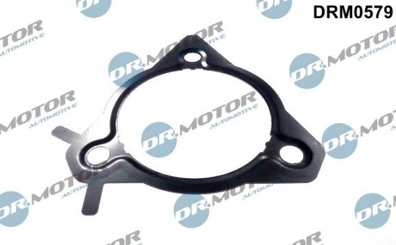 Lizarte DRM0579 - Garnitura, pompa injectie - allinparts.ro