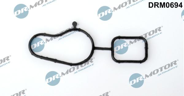 Lizarte DRM0694 - Garnitura, pompa de apa - allinparts.ro