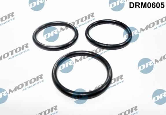 Lizarte DRM0605 - Garnitura, pompa de apa - allinparts.ro
