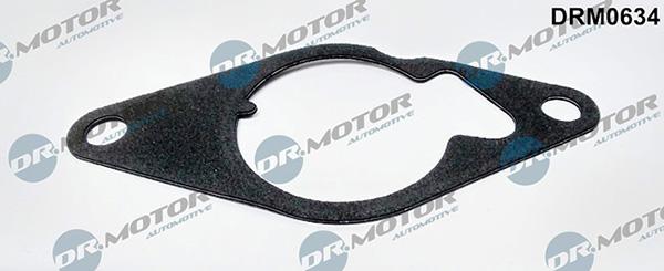 Lizarte DRM0634 - Garnitura, pompa vacuum - allinparts.ro