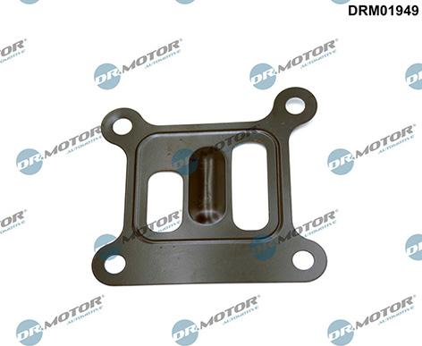 Lizarte DRM01949 - Garnitura, pompa de apa - allinparts.ro