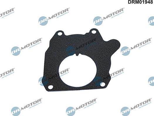 Lizarte DRM01948 - Garnitura, pompa vacuum allinparts.ro