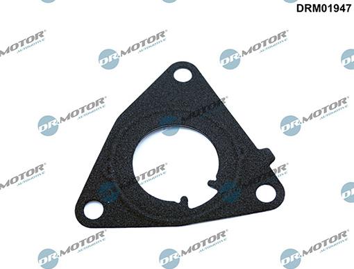 Lizarte DRM01947 - Garnitura, pompa vacuum - allinparts.ro