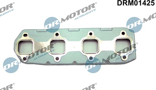 Lizarte DRM01425 - Garnitura, racord evacuare - allinparts.ro