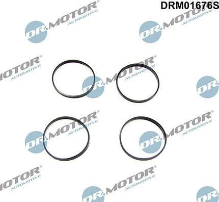 Lizarte DRM01676S - Set garnituri, galerie admisie - allinparts.ro