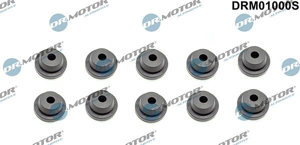 Lizarte DRM01000S - Limitator, acoperire motor allinparts.ro