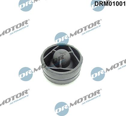 Lizarte DRM01001 - Limitator, acoperire motor allinparts.ro