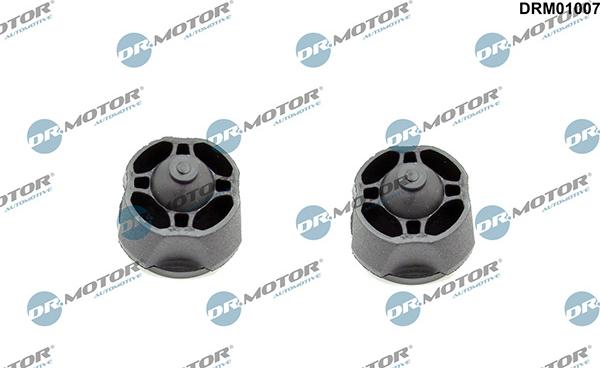 Lizarte DRM01007 - Limitator, acoperire motor allinparts.ro