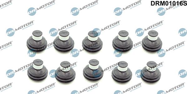 Lizarte DRM01016S - Limitator, acoperire motor - allinparts.ro