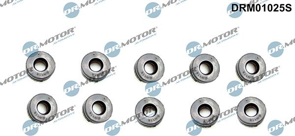 Lizarte DRM01025S - Limitator, acoperire motor - allinparts.ro
