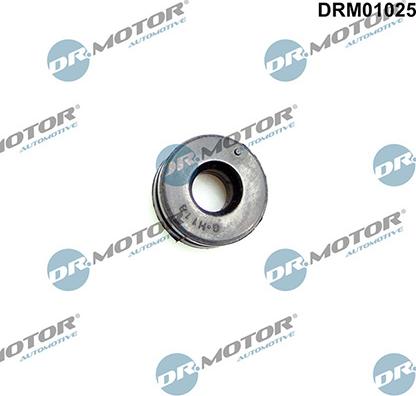 Lizarte DRM01025 - Limitator, acoperire motor - allinparts.ro